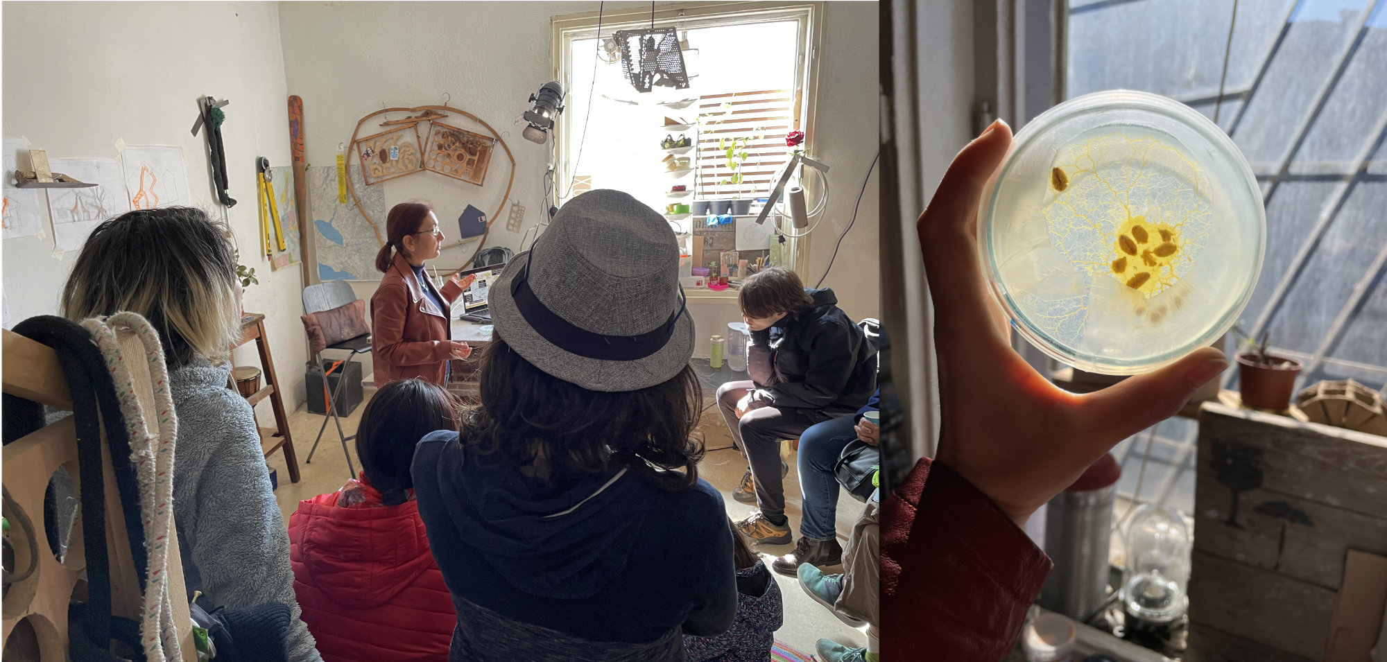 image: Slime Mold Workshop 2023 Slime Mold Workshop 2023